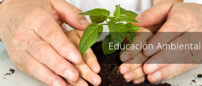 banners_0002_Educacion-ambiental-1200x480